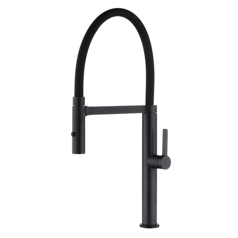 DAX Single Handle Pull Out Kitchen Faucet with Dual Sprayer, Brass Body and Shower Head, Black Finish, 9-3/16 x 21-5/8 Inches (DAX-S2417-02)